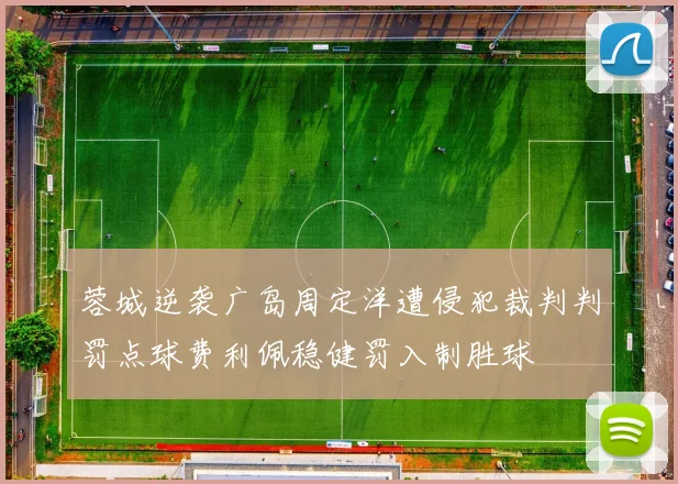 蓉城逆袭广岛周定洋遭侵犯裁判判罚点球费利佩稳健罚入制胜球