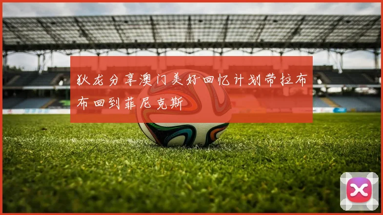 狄龙分享澳门美好回忆计划带拉布布回到菲尼克斯