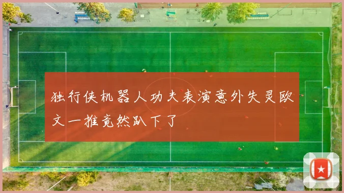 独行侠机器人功夫表演意外失灵欧文一推竟然趴下了